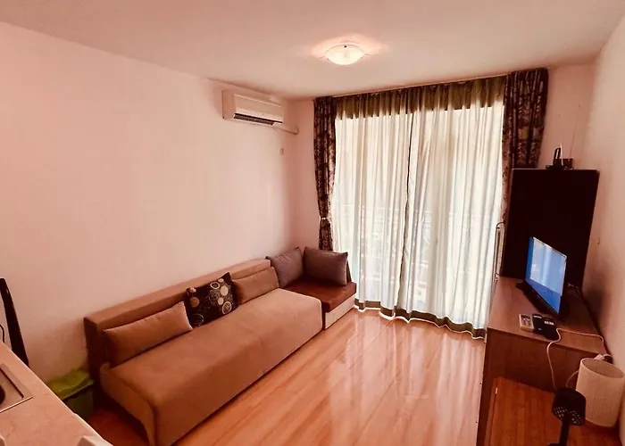 Sunny Day 6 11 Słoneczny Brzeg